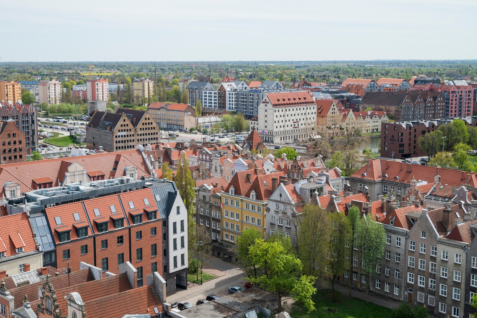 widok na stare miasto w Gdańsku